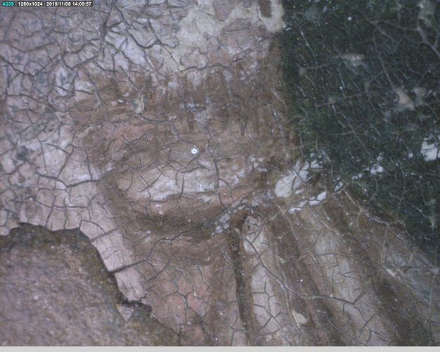 Painting. Detail view of a network of cracks in the surface of paint shows an eye and hand of a pale-skinned person.