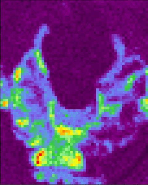 A rectangular field is filled with what looks like pixelated squares of colour. Most of the squares are violet or eggplant purple but blues, greens, and few areas of yellow, orange, and red create a broad, thick U shape across the bottom of the picture.
