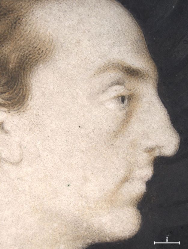 Painting. Detail view of a man’s profile with a bumped nose, downwards turning pink lips, and a knobby chin. The tone of his skin is chalky white and his eyes nearly the same colour. A scale in the lower right measures 2 mm.