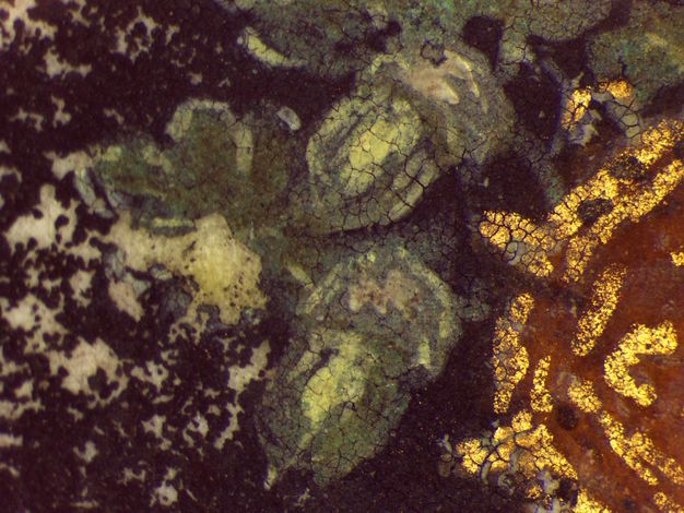 Watercolour. Detail view of green acorns. To our left are tiny black dots against ivory-white, and to our right, short, shimmering gold lines are against rust brown.
