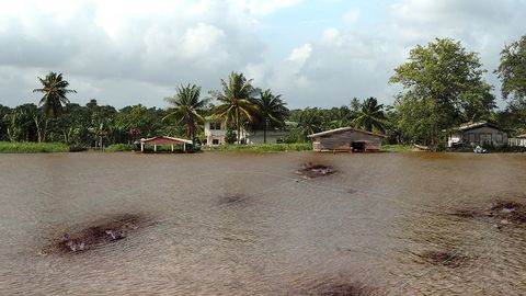 Video still. Muddy water floods a town so houses and palm trees are partially submerged. Dark spots in the water in front of us seem to be connected by faint green or yellow lines.