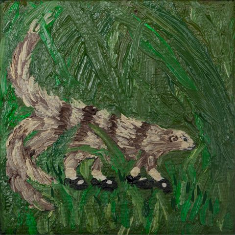 Painting. A loosely painted, striped mongoose with three bushy tails walks amid thickly textured green brushstrokes in this square composition. The mongoose wears four black Mary Jane-style shoes and white ankle socks.