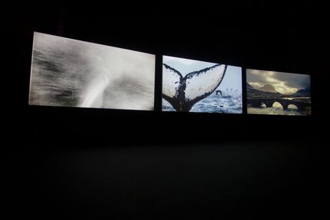 Video still. Three images are projected onto screens in a darkened space. The left is blurry, perhaps showing spray over water. The middle shows a whale’s tail diving into water, and the third an arched bridge across a river.