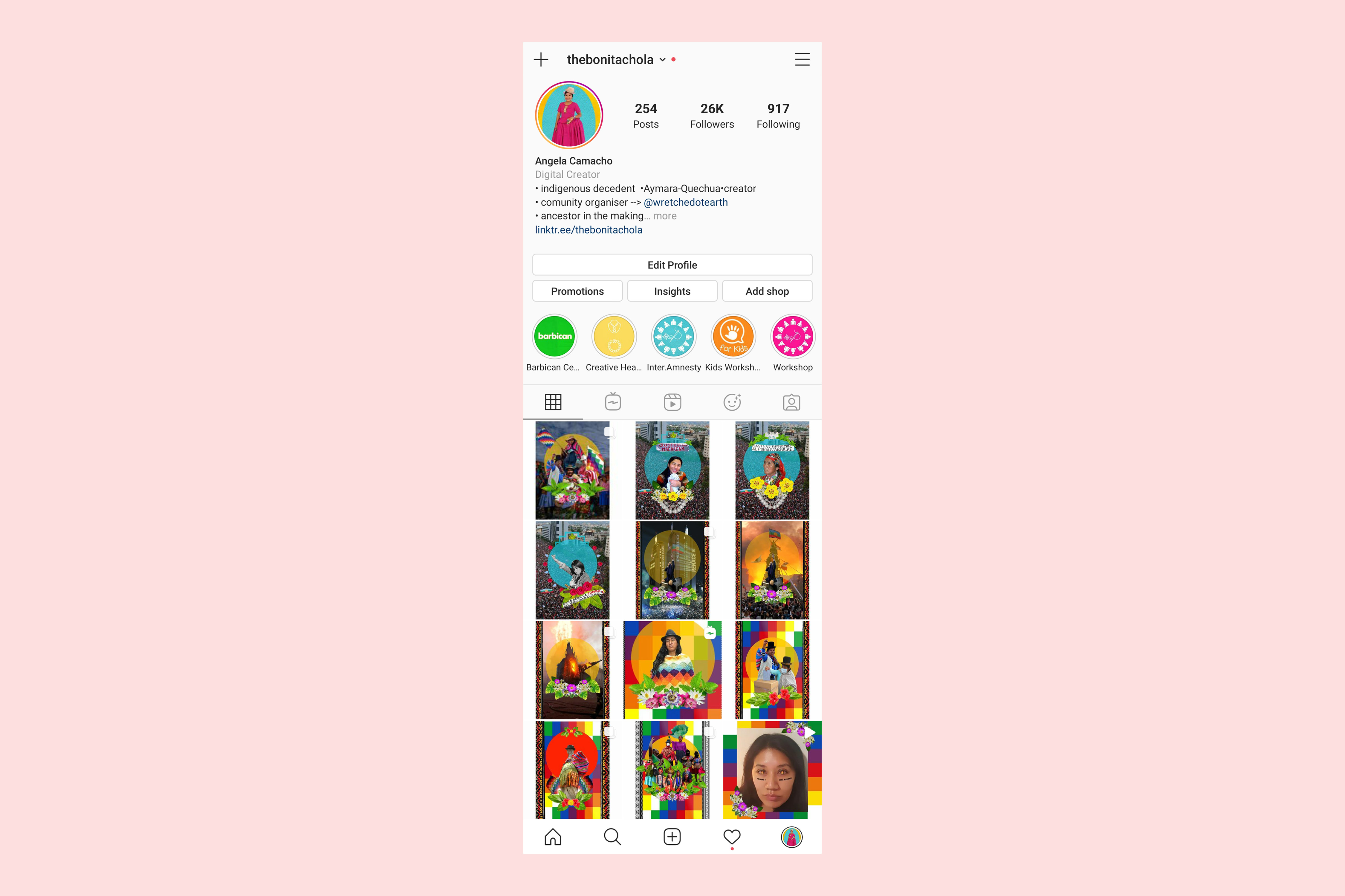 Instagram profile page. The images are of brightly coloured  and sometimes patterned portraits.
