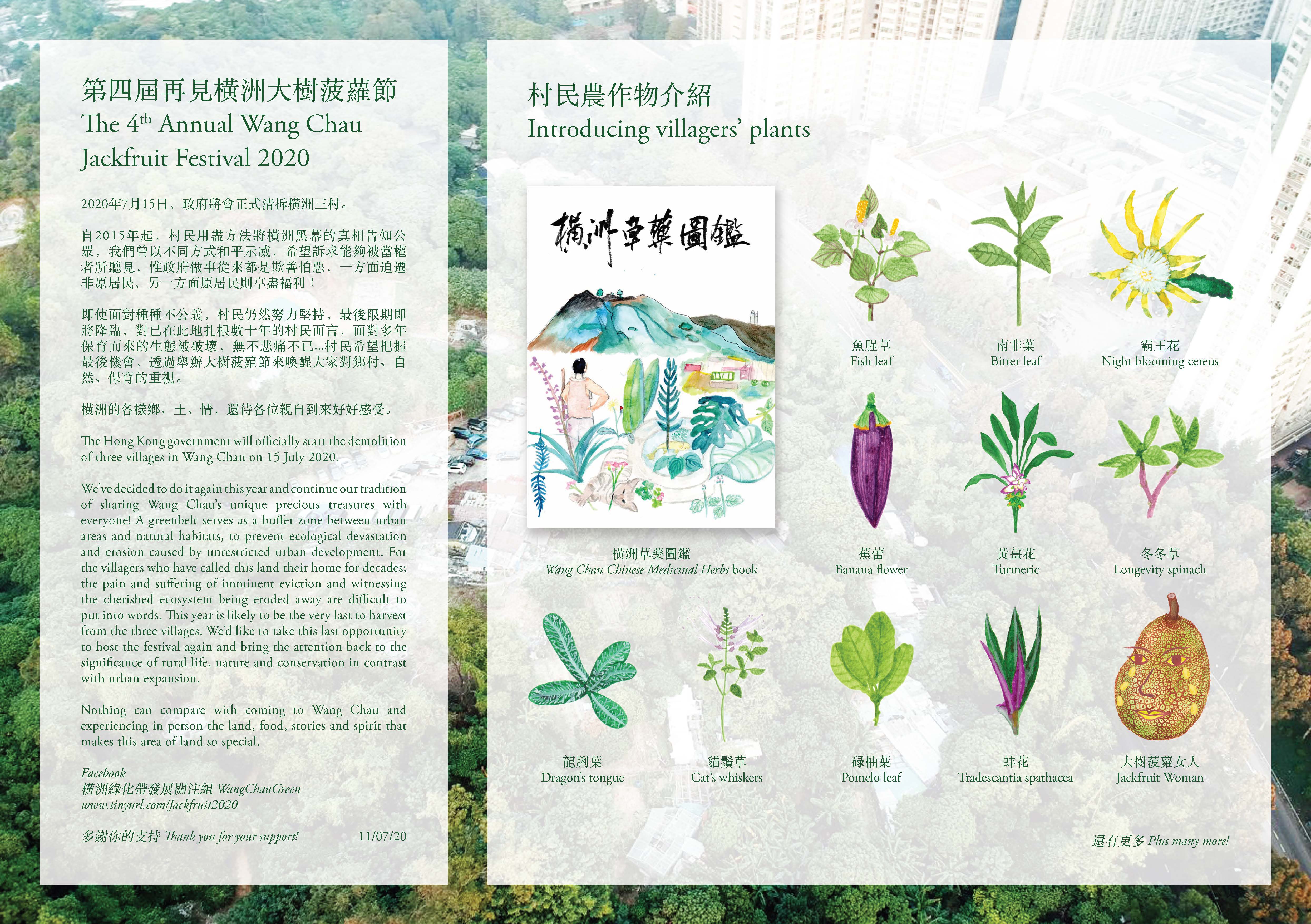 Watercolour. A column of text in English and Chinese is to our left. The right two-thirds is headed “Introducing villagers’ plants” and illustrates ten varieties including “Fish leaf”, “Bitter leaf”, “Night blooming cereus”, “Banana flower”, “Turmeric”, “Longevity spinach”, “Dragon’s tongue”, “Cat’s whiskers”, Pomelo leaf”, “Tradescantia spathacea”, and “Jackfruit Woman”.