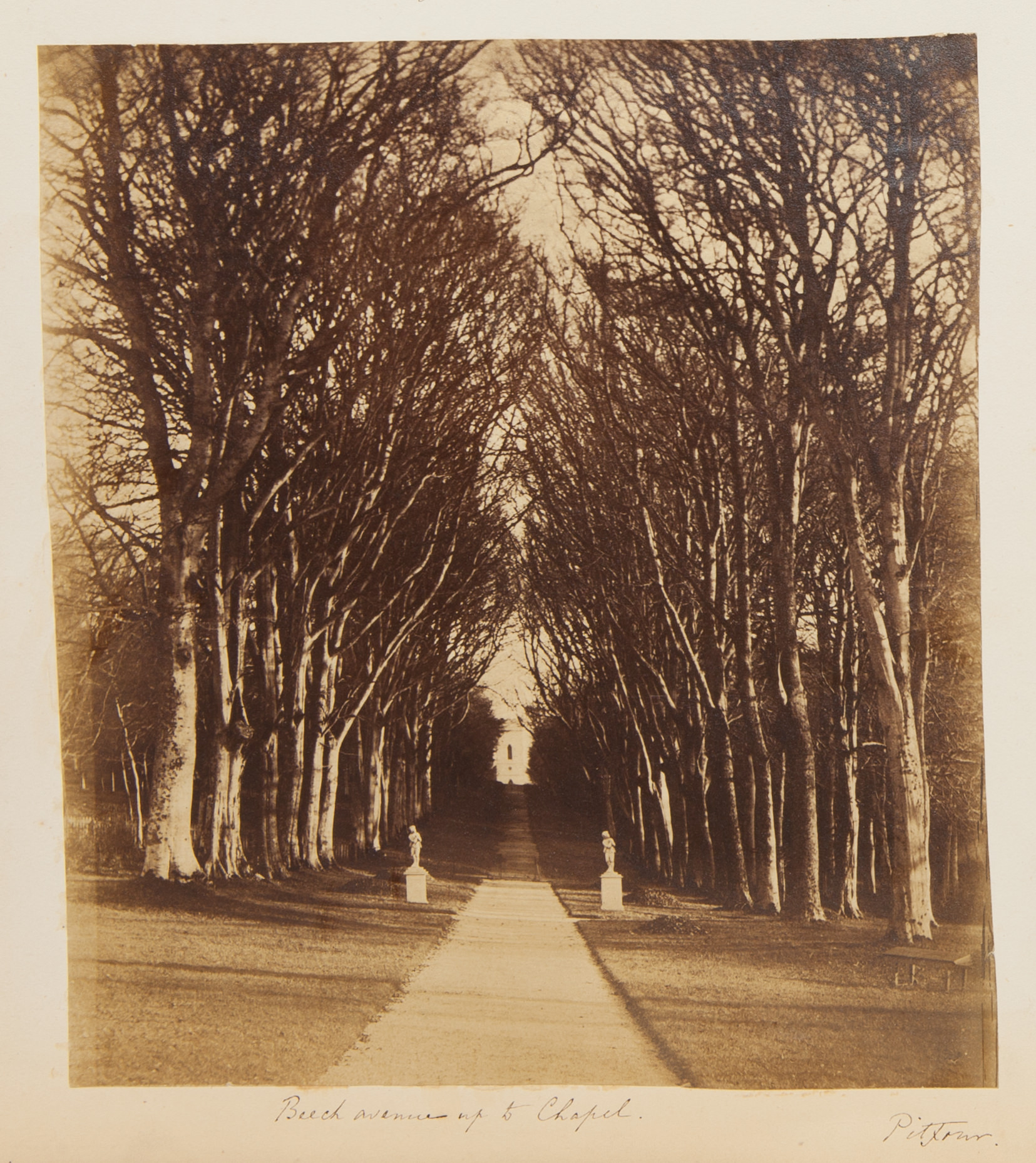Black and white photograph. Trees nearly fill the top three-quarters of this composition but part for a lane that moves away. The road is flanked by two statues on pedestals where the trees begin, a short distance from us. A dark window indicates that a building stands at the end of the lane. The title is written in pen below, and, to the right, “Pitfour”.