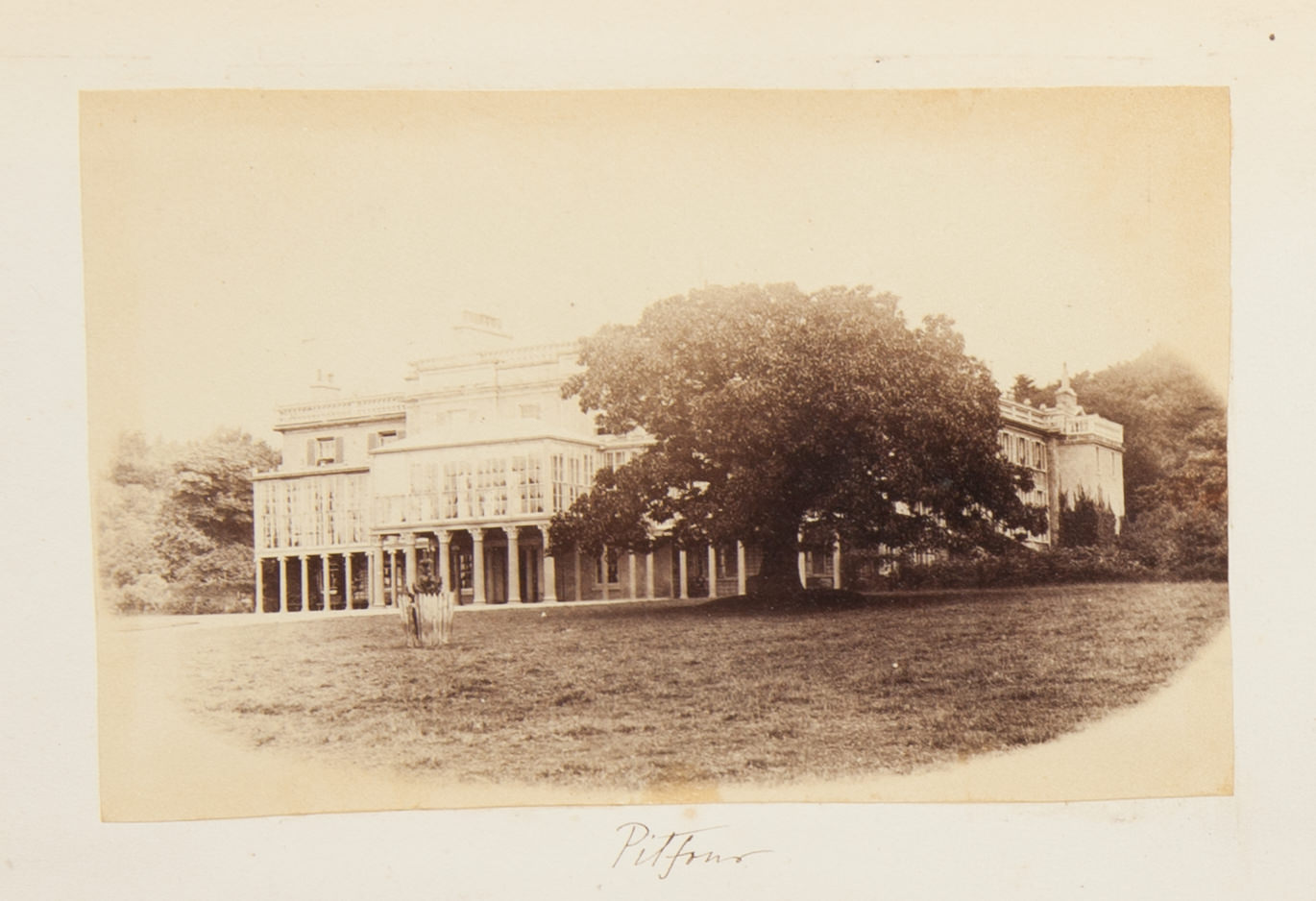 Black and white photograph. A three-storey mansion sits behind a sprawling tree. The lowest level is lined with columns to create a long covered walkway or porch.