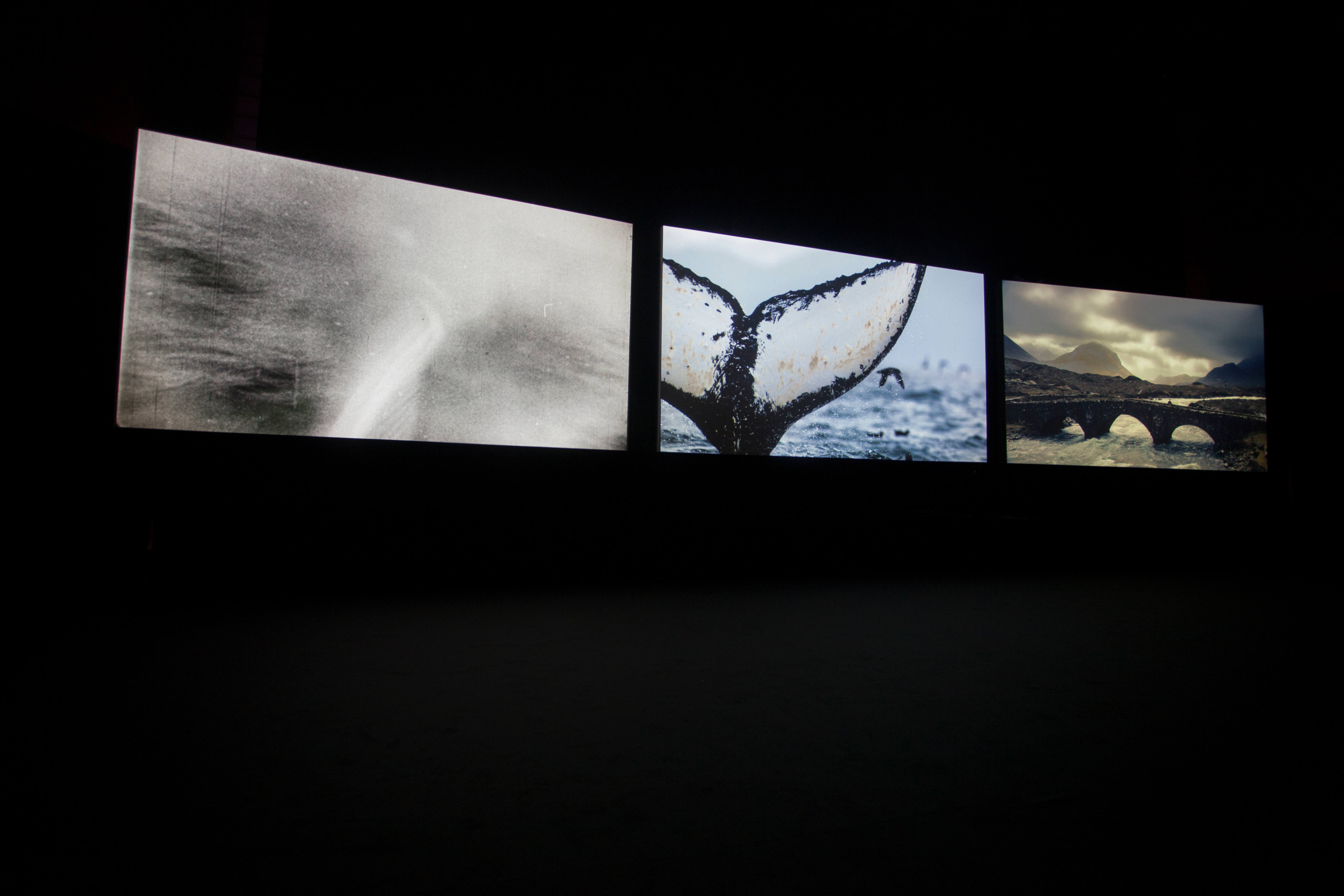 Video still. Three images are projected onto screens in a darkened space. The left is blurry, perhaps showing spray over water. The middle shows a whale’s tail diving into water, and the third an arched bridge across a river.