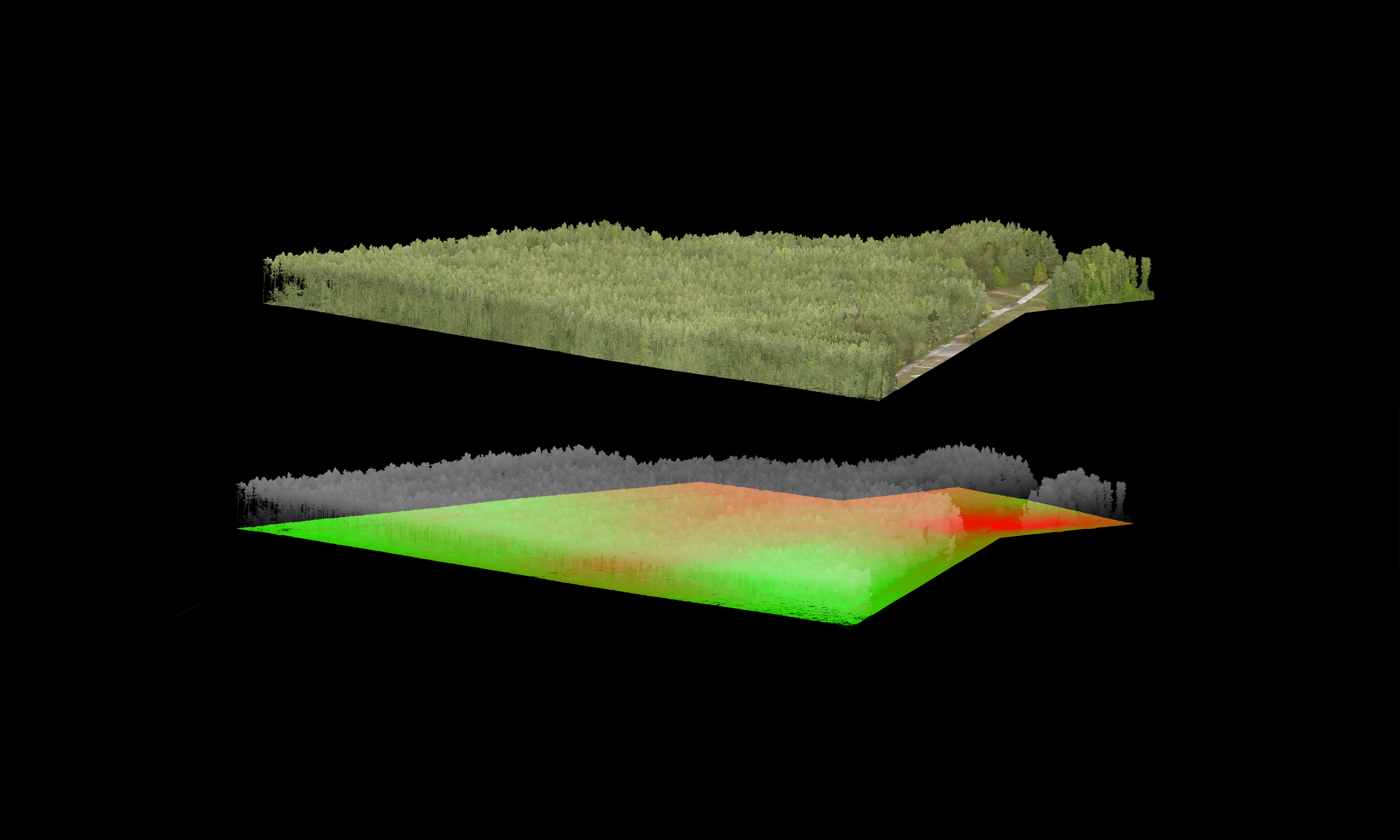 Two computer visualizations map terrain. The top shows an area covered with trees. In the lower image, the trees are faint grey and the land beneath is shaded bright green or red.