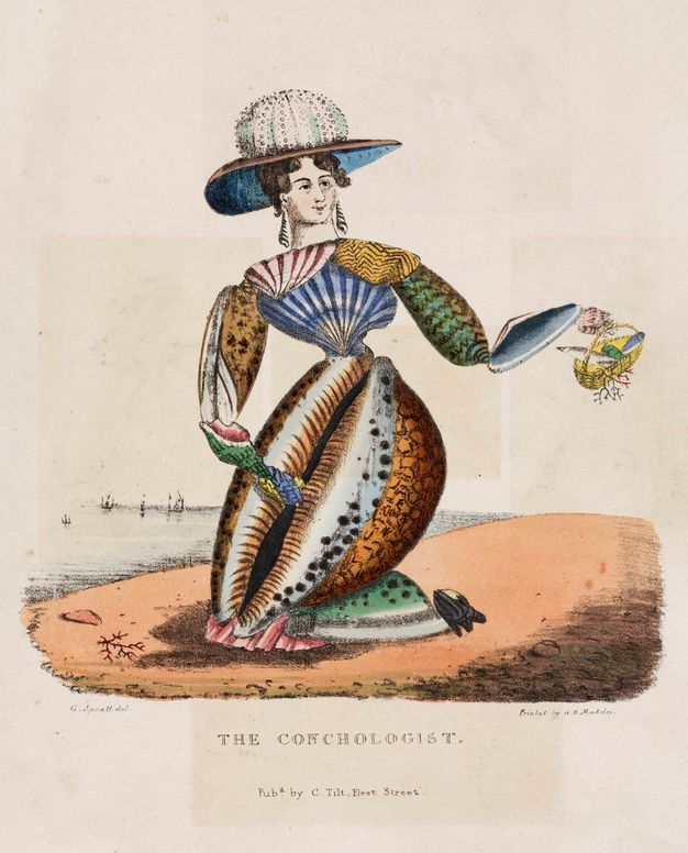 Illustration. A woman’s body and hat are made entirely of different kinds of seashells in this hand-coloured lithograph. The woman’s face is pale, and she is shown as if kneeling on a beach.