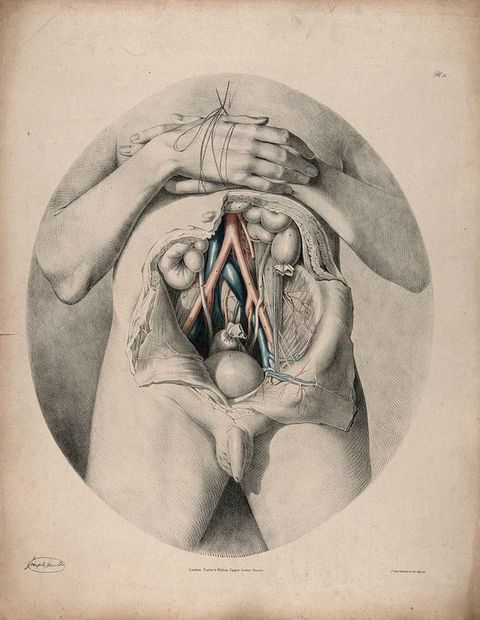 Illustration. Set within an oval frame, a man’s abdomen has been cut open so flaps of skin lie to each side. Some body parts are coloured in red or blue. The hands, one on top of the other, are tied together over the chest.