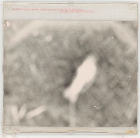 Mixed media. A blurry black and white photograph shows an abstract shape in white, like a bird with its wings closed, surrounded by a rough cross-cross pattern. Red text in all caps printed on muslin above the image reads, “The anger turned in-ward, where could it go except to make pain? It flowered into me with her milk.”