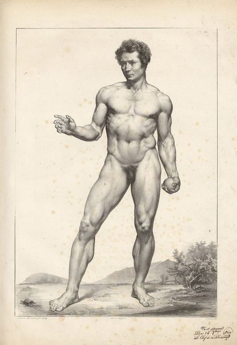 Illustration. A clean shaven man’s muscular body is shaded in detail. He stands with most of his weight on his left foot. That hand holds a ball by his side, and his other hand is raised at elbow height. A distant landscape with a tree and mountains lies low across the image, coming up only to about knee height.