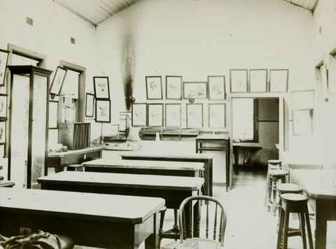 Black and white photograph. Six tall, long tables are laid out in a room hung with framed illustrations of dissections.