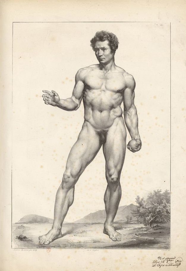 Illustration. A clean shaven man’s muscular body is shaded in detail. He stands with most of his weight on his left foot. That hand holds a ball by his side, and his other hand is raised at elbow height. A distant landscape with a tree and mountains lies low across the image, coming up only to about knee height.