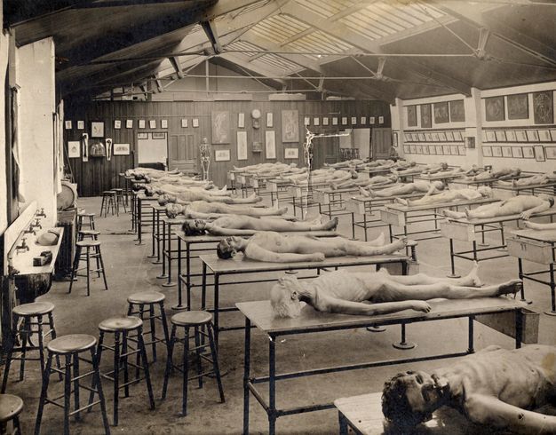 Black and white photograph. Twenty-six cadavers are laid out on long tables in this cavernous room. The room is lit from skylights above. A row of four sinks is on the wall to our left. The walls are hung with illustrations of dissections.