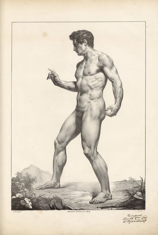 Illustration. A clean shaven, nude man with pale skin and dark hair stands facing our left in profile. His feet are widely planted so his right foot is in front of his left. His left arm is by that buttock and his other hand is raised, palm out and index finger lifted. His well-defined muscles are shaded in detail. A distant landscape lines the ground at his feet.
