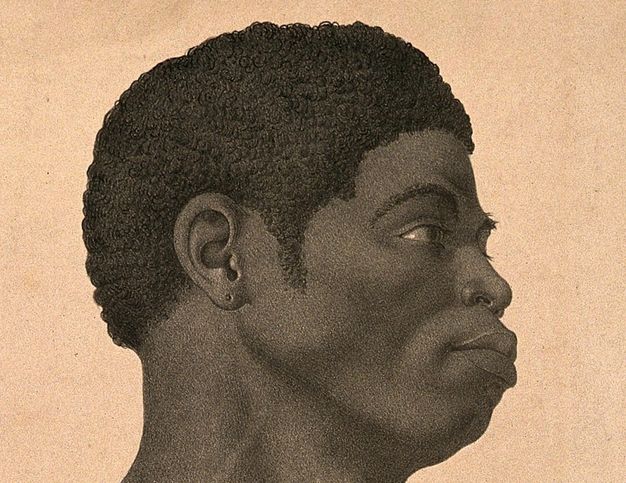Illustration. Detail view of a Black man’s head, turned to our right and open eyes looking in that direction. The man has pronounced cheekbones and a small nose. His full lips and chin jut forwards. An empty hole pierces the earlobe we can see.