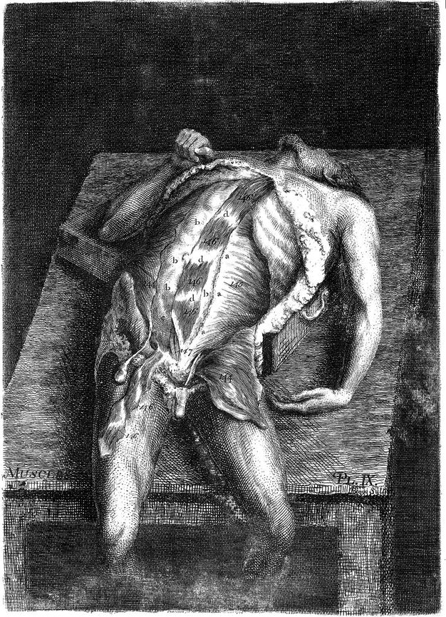 Illustration. Against a dark background, a man with his torso flayed is laid out on a table so his legs come towards us and hang off the front edge. One arm is limp by his side, the other is in a fist by his chest, elbow bent. The head twists up and back so we look onto the underside of the chin.