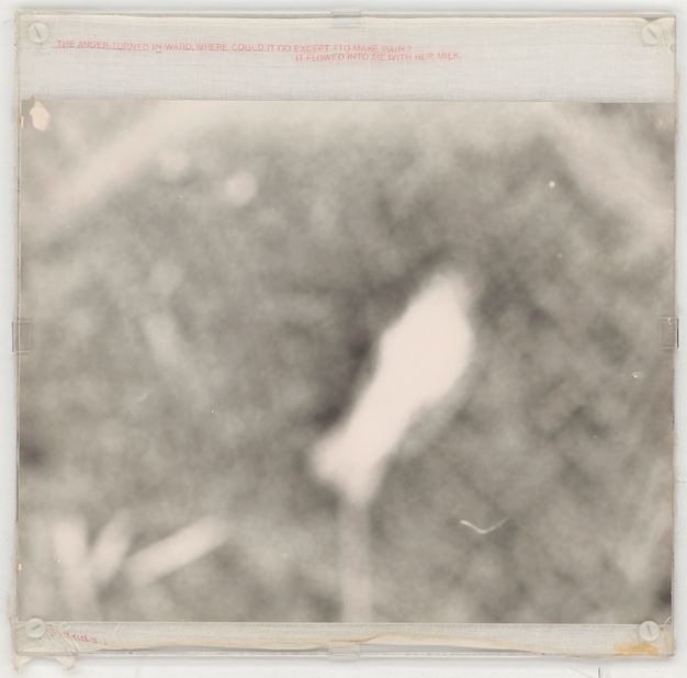 Mixed media. A blurry black and white photograph shows an abstract shape in white, like a bird with its wings closed, surrounded by a rough cross-cross pattern. Red text in all caps printed on muslin above the image reads, “The anger turned in-ward, where could it go except to make pain? It flowered into me with her milk.”