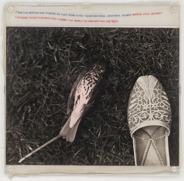 Mixed media. A black and white photograph shows a dead bird lying on its back in the grass. We look down on it and an emboidered leather slipper. Text in all caps printed on muslin above the image reads, first in blue, “It was the mother and others, as they were alike – those watchful, wrathful women” and then in red, “Laid bare those tongues that lashed the world in unremitting distrust.”