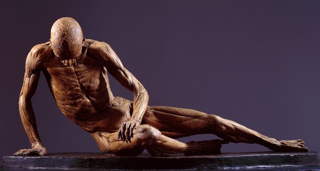 Sculpture. This freestanding statue shows a man sitting with one leg tucked under him, the other extended. He looks down, and props his upper body on his arms. His skin has been removed so muscles and bone are exposed. The plaster surface is brown.