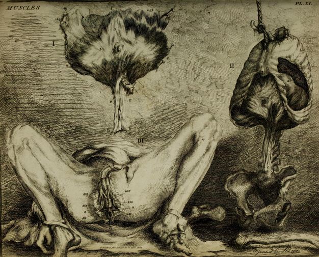 Illustration. A man lies on his back with his knees deeply bent so his hands are tied to and cradle his feet. The area around his rectum is dissected and splayed open. A diaphragm, shaped like an atomic explosion, is nailed incongruously to the wall above the man, and the bones of a human torso hang from a hook next to him.