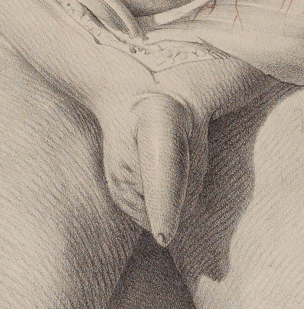 Illustration. Detail view of a hairless penis and small testicles. The edge of a dissected area is above.