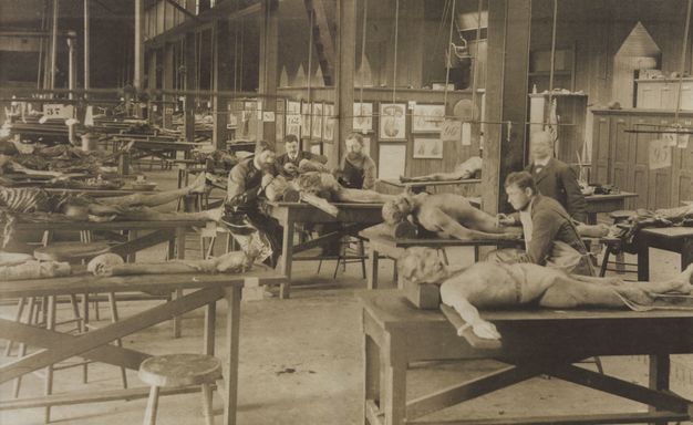 Black and white photograph. At least a dozen dead, human bodies in various stages of decay are laid out on tables. Three men cluster around one body to our right. Two more examine other bodies nearby. The room has a high ceiling and walls are hung with illustrations and diagrams.