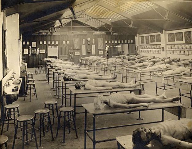 Black and white photograph. Twenty-six cadavers are laid out on long tables in this cavernous room. The room is lit from skylights above. A row of four sinks is on the wall to our left. The walls are hung with illustrations of dissections.