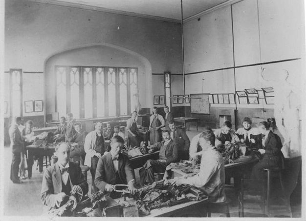 Black and white photograph. About twenty-five men and at least two women gather in groups of three, four, or five around skeletal cadavers. At the table closest to us, a man holds a hand saw. The room has a high ceiling, and the wall opposite us has a bank of tall, narrow windows with tracery. A white statue of a nude man stands along the right edge of the picture.