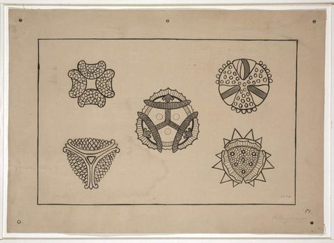 Drawings. Five sketches capture the structure of five pollen grains. If encountered without context, these may seem like fanciful ornamental patterns.