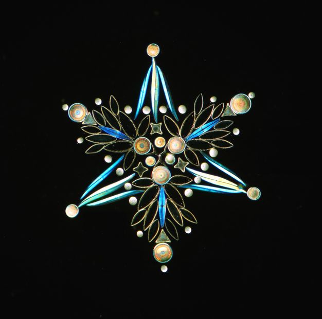 Microphotograph. Taken with the aid of a microscope, pearly turquoise, gold, and white single-celled organisms are arranged into a six-pointed star.