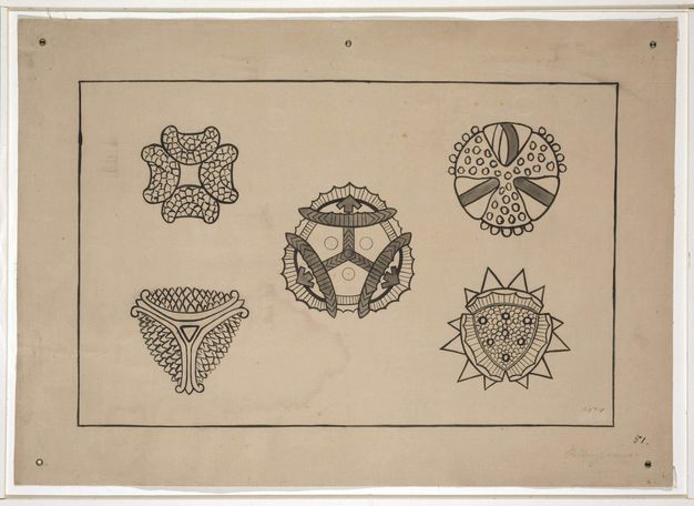 Drawings. Five sketches capture the structure of five pollen grains. If encountered without context, these may seem like fanciful ornamental patterns.