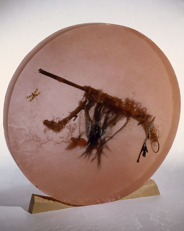 Sculpture. What looks like the long barrel of a gun is set, along with hair, a dragonfly, and other materials in a blush-pink resin disc. The disc is propped on its narrow edge between wood wedges.