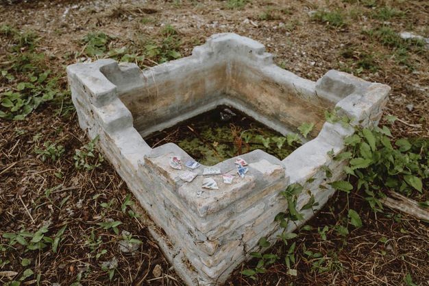 Seven fragments of white porcelain painted blue, red, or green sit on the edge of a stone foundation, which is overgrown by a vine.