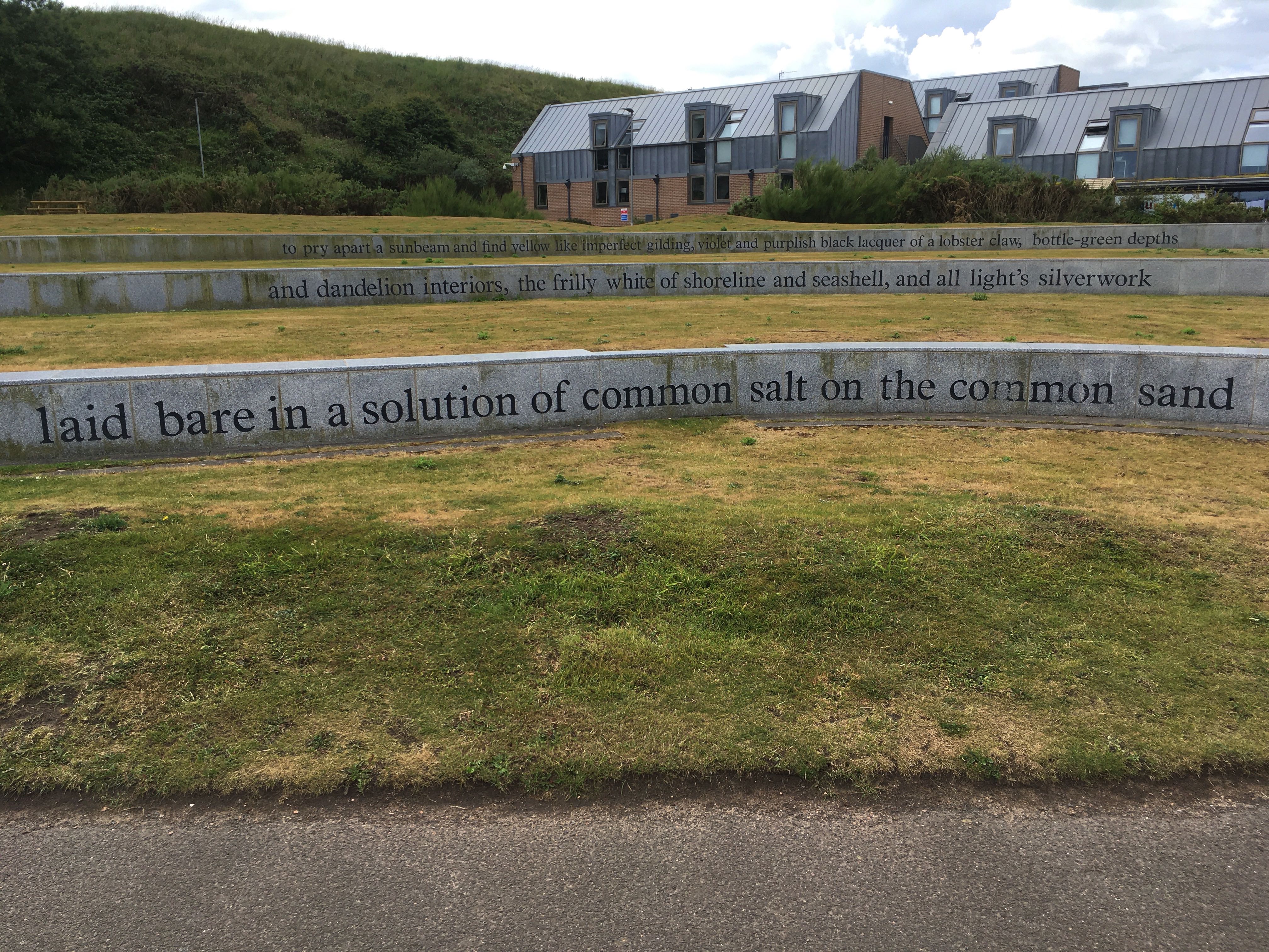 Installation. Black letters are engraved on three long bands of granite that march away from us on a grassy field. The words we can see read, “to pry apart sunbeam and find yellow like imperfect gilding, violet and purplish black lacquer of a lobster claw, bottle-green depths and dandelion interiors, the frilly white of shoreline and seashell, and all light’s silverwork laid bare in a solution of common salt on the common sand”.