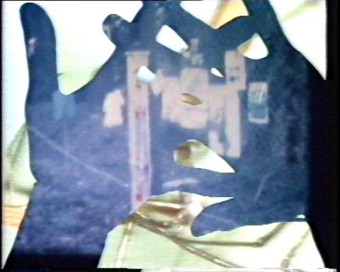 Video still. The silhouettes of two hands are filled with imagery in blue and white. Banners or posters are visible where the fingers overlap. They overlay a green stem and a spider.