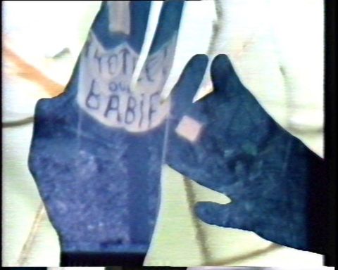 Video still. The silhouettes of two hands are filled with imagery in blue and white. A white banner is visible within the outline of the hands, which overlay a green stem and a spider.