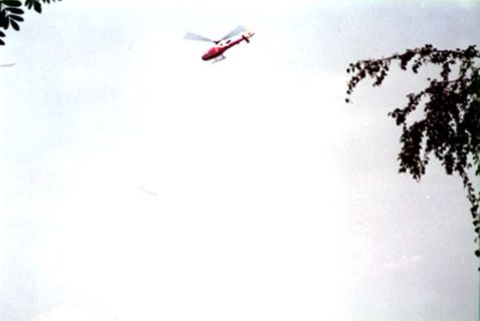A helicopter flies high against a white sky. Leaves of trees to each side dip into the photograph.