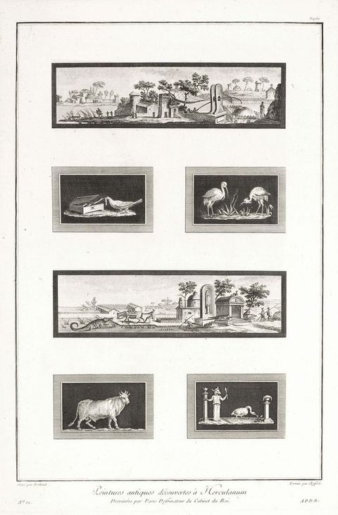 Page from a book. Six black and white prints are illustrated on a page. Two are long landscapes and the other four are smaller animal studies.