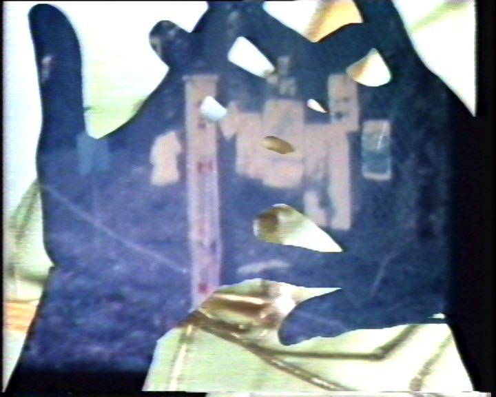 Video still. The silhouettes of two hands are filled with imagery in blue and white. Banners or posters are visible where the fingers overlap. They overlay a green stem and a spider.