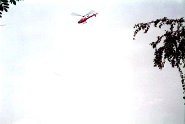 A helicopter flies high against a white sky. Leaves of trees to each side dip into the photograph.
