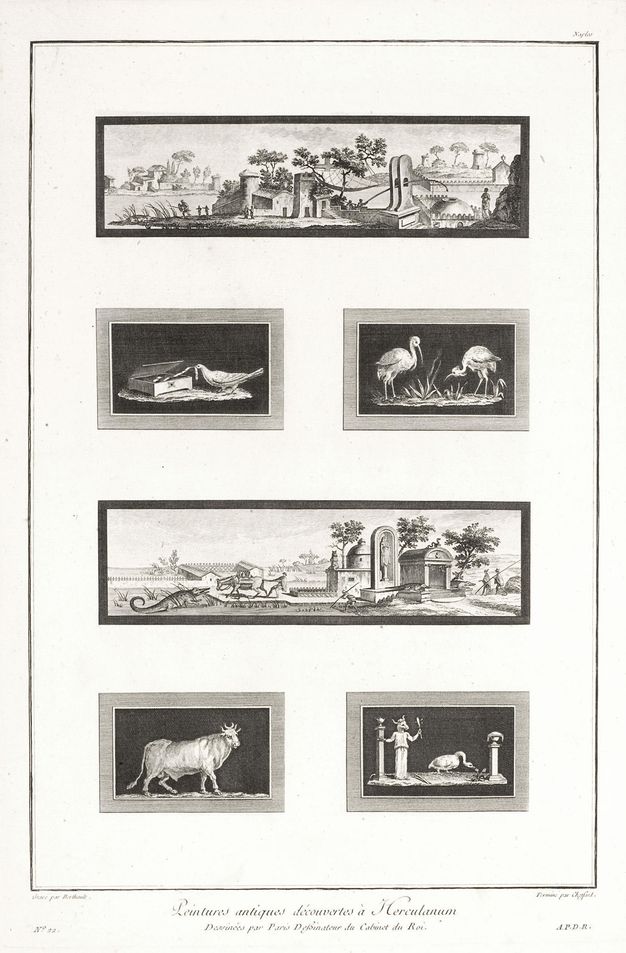 Page from a book. Six black and white prints are illustrated on a page. Two are long landscapes and the other four are smaller animal studies.