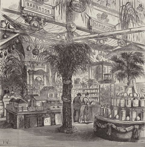 A historical black-and-white illustration of an exhibition display with tropical plants, labelled 'Barbados,' featuring products in glass jars, miniature houses, and decorative arrangements.