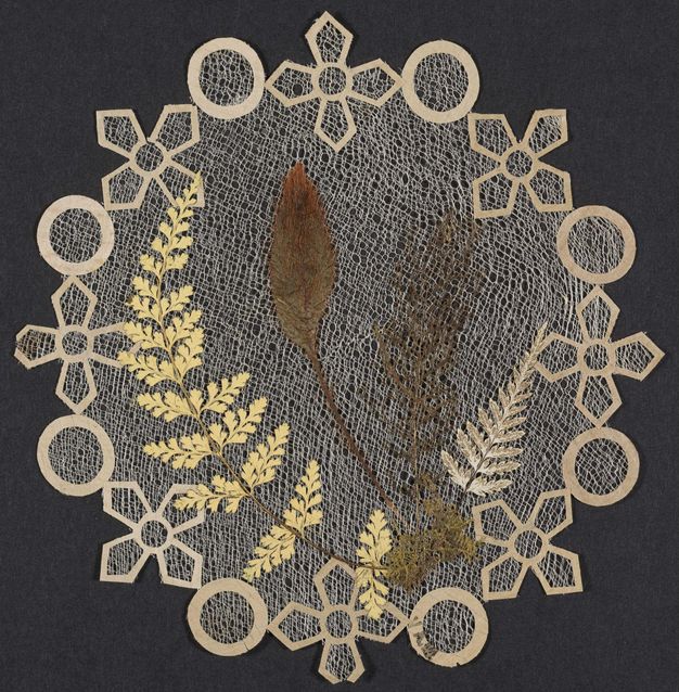 A circular piece of lace with a delicate cut-out border, featuring pressed leaves and ferns arranged symmetrically on a black background.