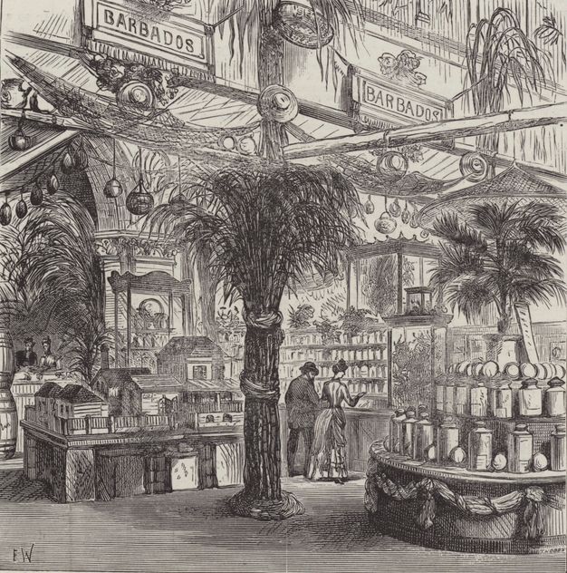 A historical black-and-white illustration of an exhibition display with tropical plants, labelled 'Barbados,' featuring products in glass jars, miniature houses, and decorative arrangements.