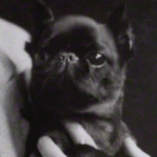 Picture of Radclyffe Hall