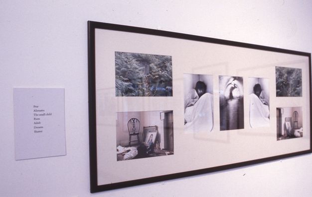 Installation photograph. Framed group of seven photographs, four square photographs flanking three portrait-orientated photographs. Upper two square photographs of woodland, lower two square photographs of an interior room. A child appears in two of the central tripych photographs, the centre tunnel scene shows a person in the distance. Label to the left of grouped photographs.