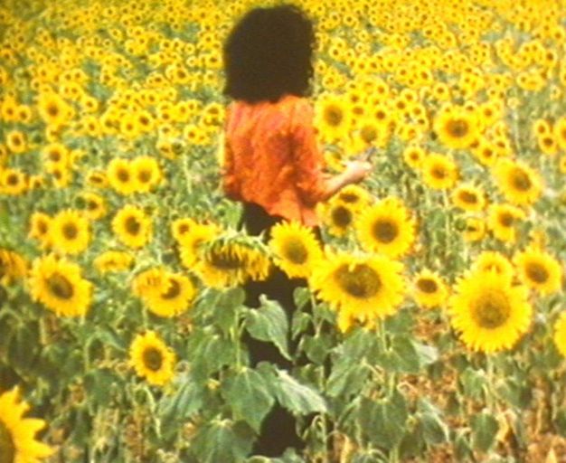Colour photograph. A field of yellow sunflowers surrounds a person with curly dark hair wearing a crinkled coral blouse and black trousers. Their back faces the camera, their right arm extended at 90 degrees.